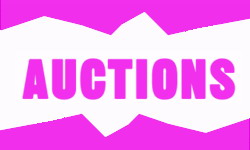AUCTIONS - MEMORABILIA 01