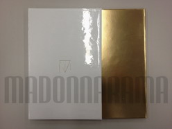 Truth or Dare by Madonna Press Kit 06