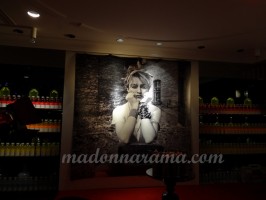 Madonna Transformational Exhibition W Hotel Opera Paris (9)