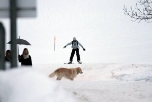 Madonna and family skiing Gstaad - 27 December 2011 and 3 January 2012 (11)