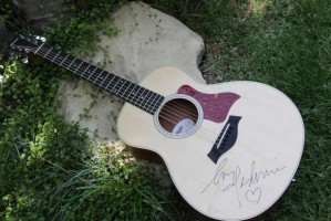 Madonna Autographed Guitar - Bidding For Good (2)