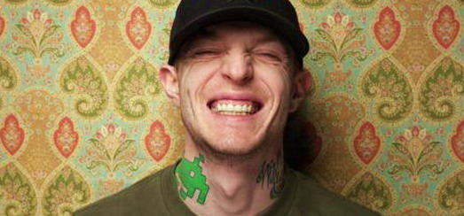 YOU are an IDIOT!… according to Deadmau5